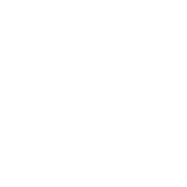 Bon Gysr